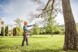 Best Lawn Grading and Leveling  in Floral Park, NY