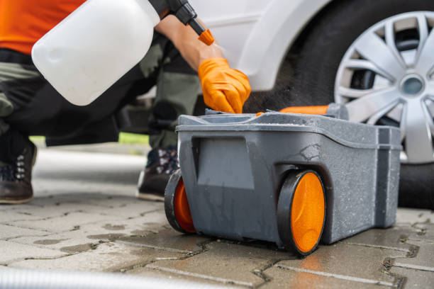 Best Root Management and Removal  in Floral Park, NY